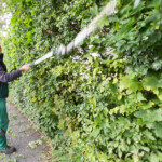 Albin Tanzberger, Leiter der Grüngruppe, beim Heckenschneiden