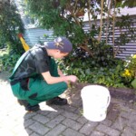 Leon Mayer bei der Arbeit